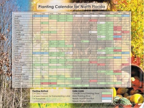 Planting calendar for North Florida
